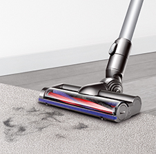 Deep cleans carpets. Sucks up pet hair.